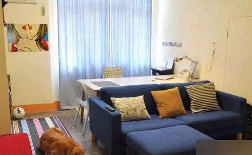 吴川最新出租房信息,家园变迁中的自信与成就感学习之路