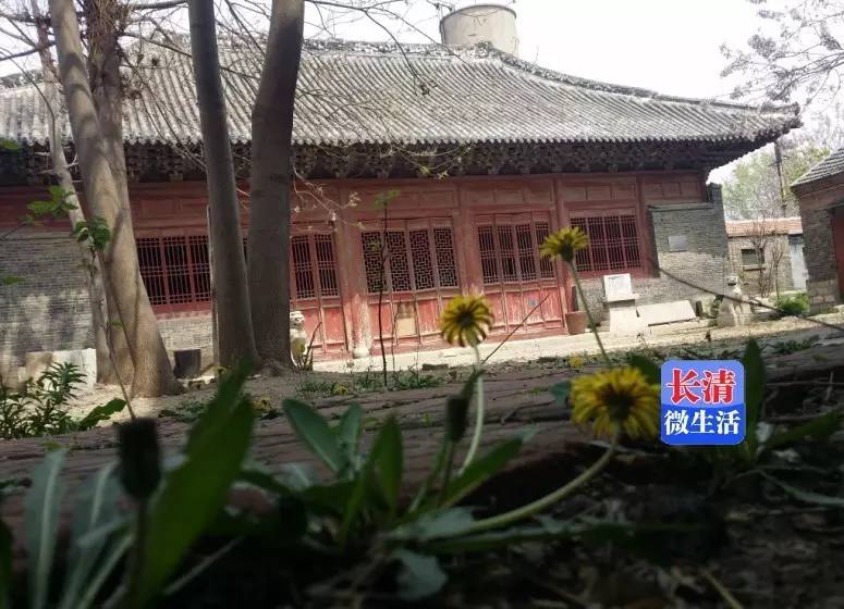 长清老城改造最新动态,自然美景的探索之旅启程