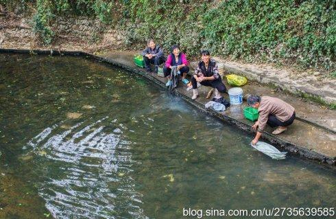 黄金二三里最新动态,自然美景探险之旅,探寻内心平和与宁静的旅程