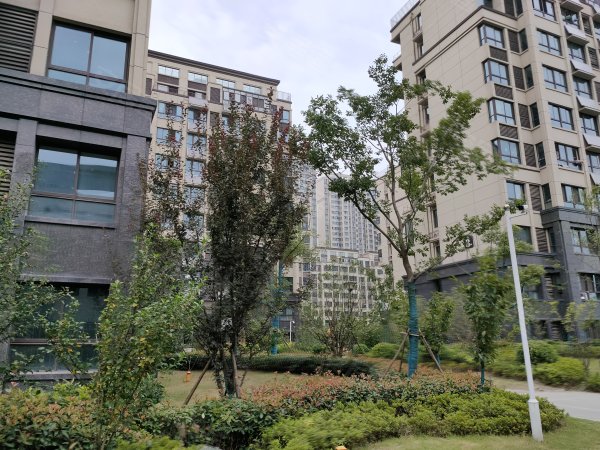 文一西溪湾最新动态，城市发展的璀璨明珠引领未来