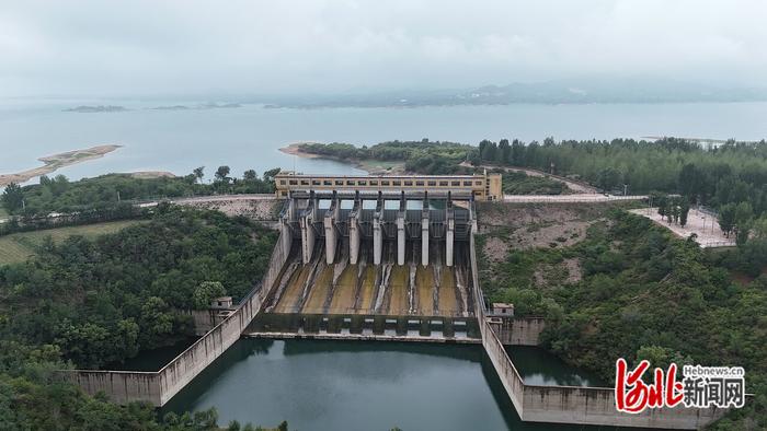南充高坪双叉水库最新进展纪实