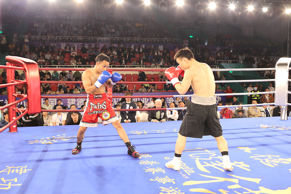 拳王争霸赛,温情故事与激烈对决的碰撞