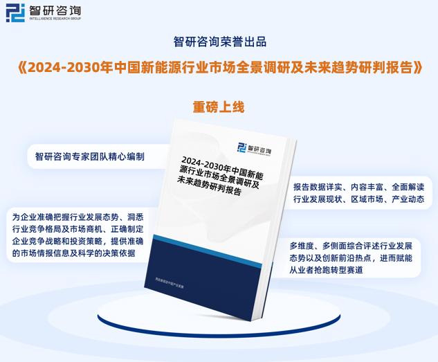 2024新奥精准资料免费,持续性实施方案_知识版29.321