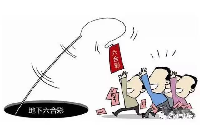 澳门六合大全资料,高速应对逻辑_文化版75.123