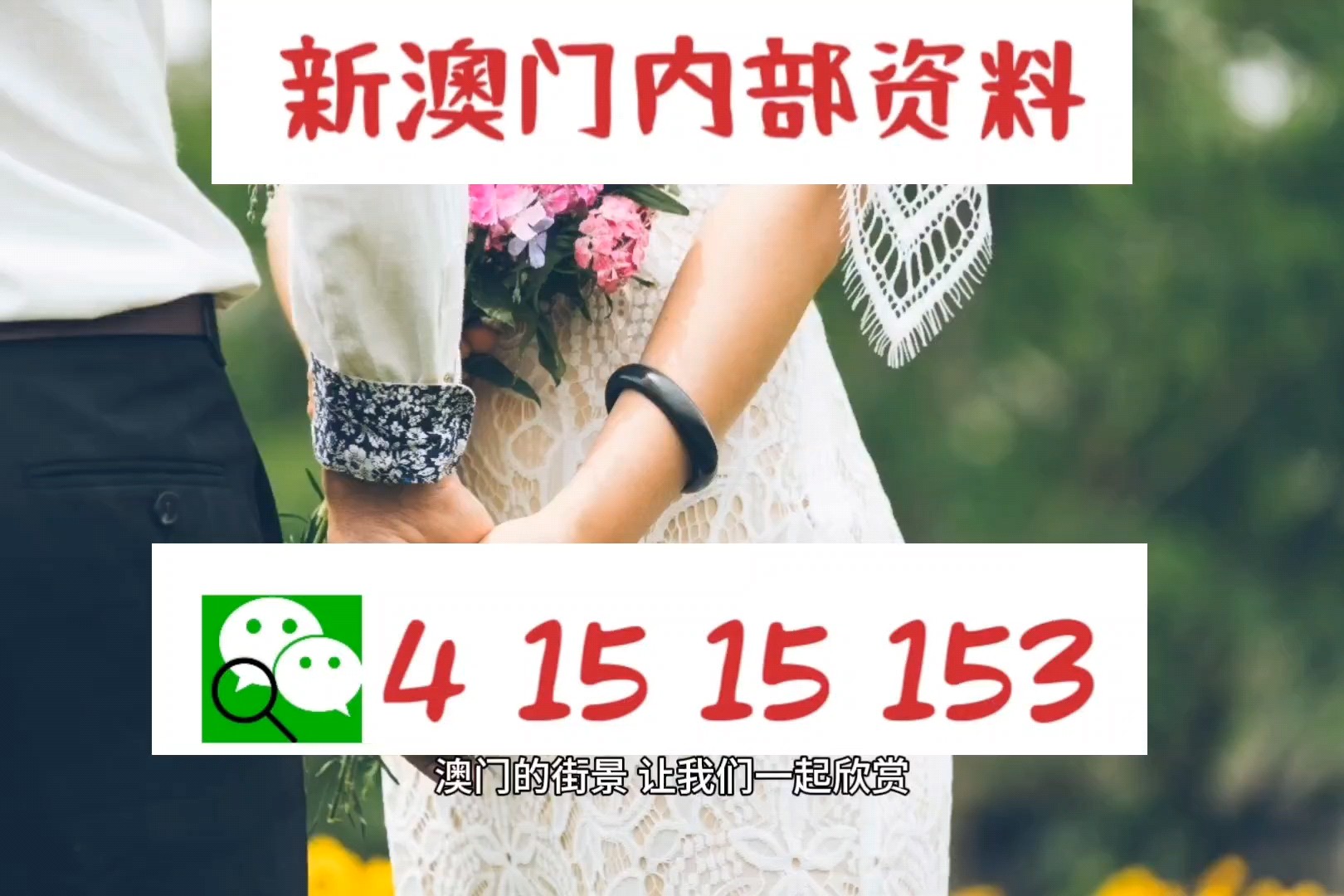 新澳门全篇资料免费,快速实施解答研究_月光版89.445