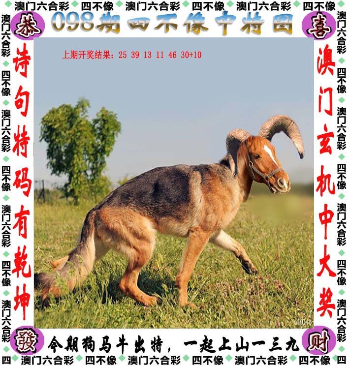 944cc资料免费大全四不像,定性解析明确评估_业界版29.908