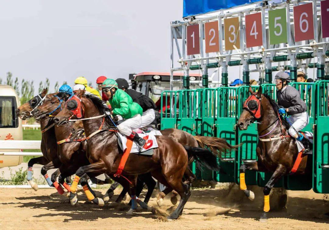 2024年特马开码查询,策略规划_进口版61.664