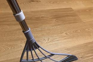 4949免费资料图库大全,创新解释说法_界面版19.376