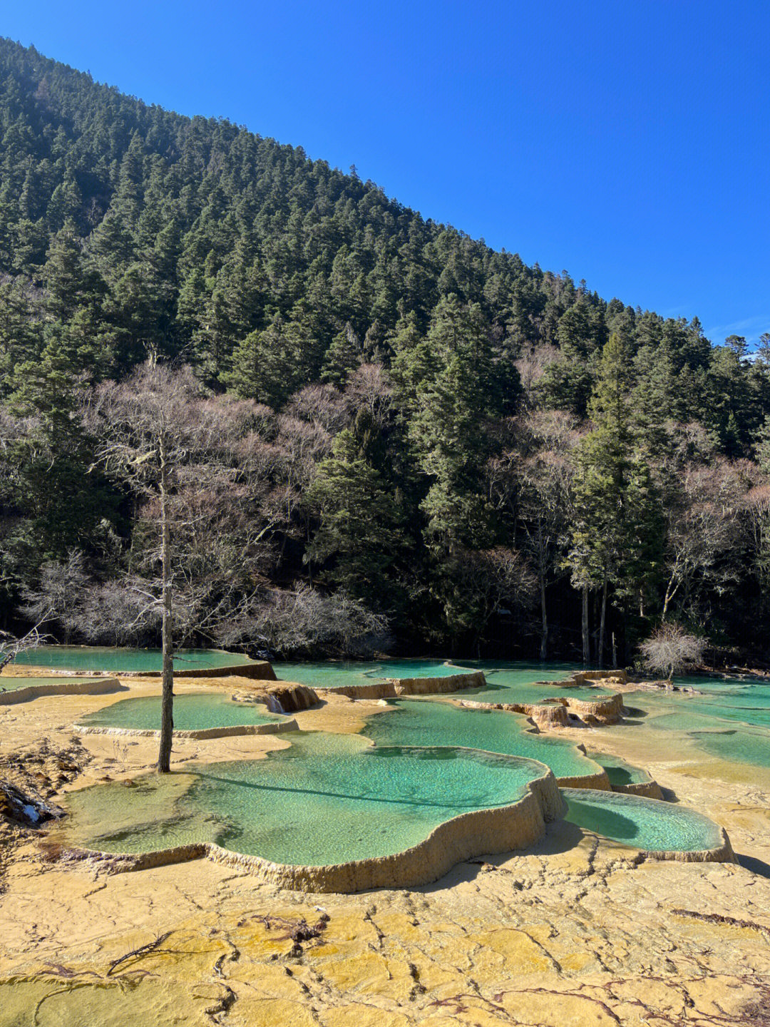 黄龙跃巅峰,自信旅程成就非凡梦想