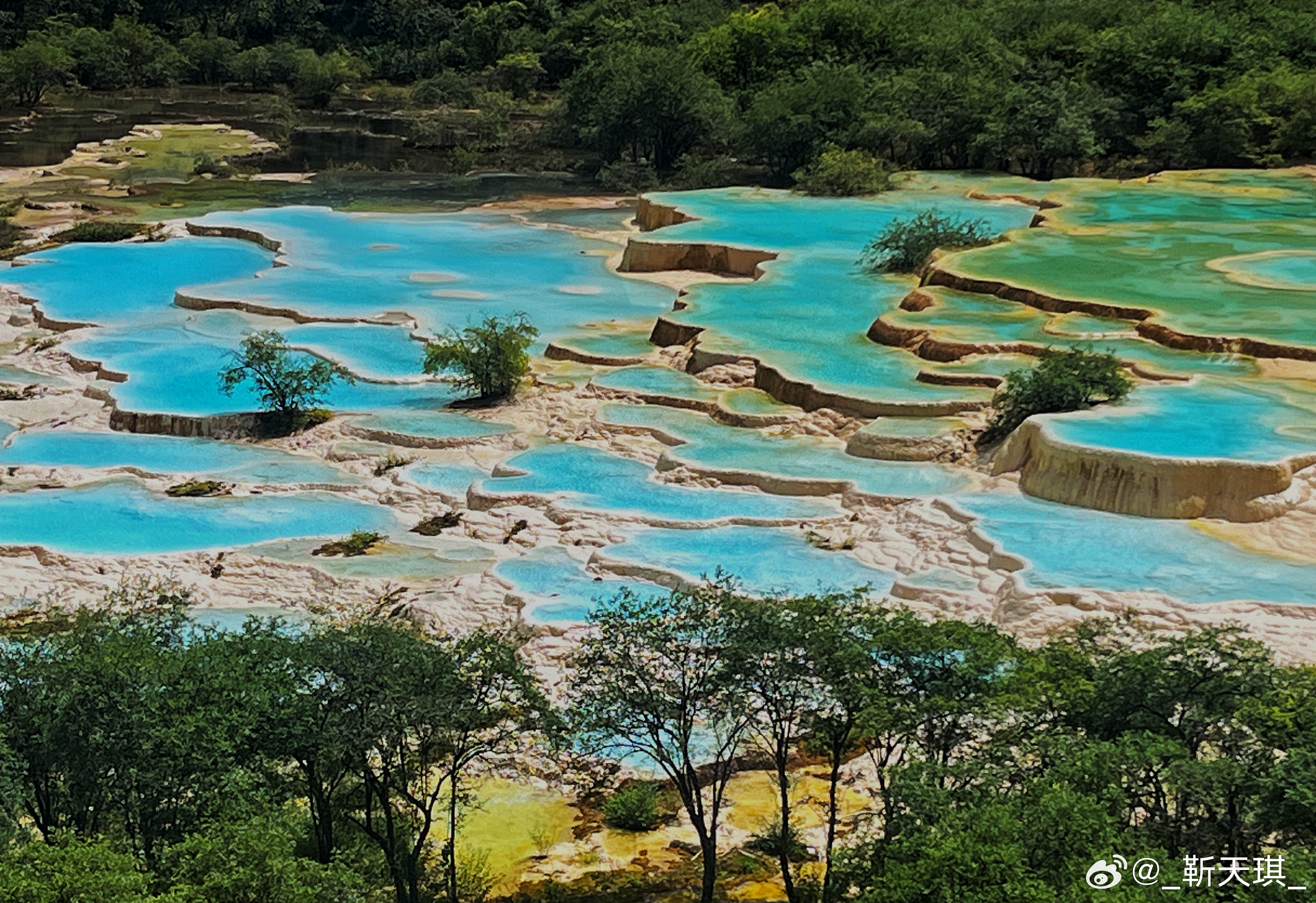 黄龙跃巅峰,自信旅程成就非凡梦想
