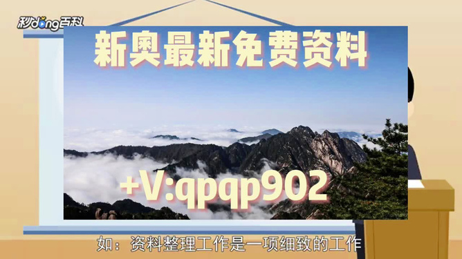 2024新奥正版资料大全免费提供,精细评估方案_结合版48.963