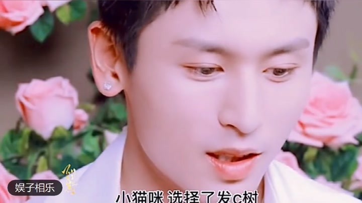 2024香港正版资料大全视频,全盘细明说明_计算能力版77.889