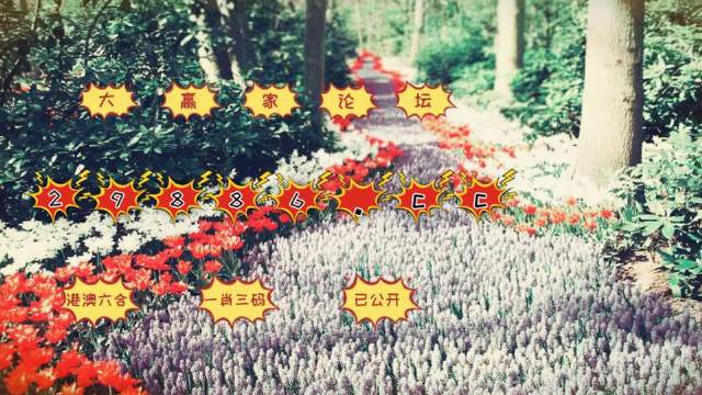 一肖一码100-准资料,互动性策略设计_幽雅版34.581