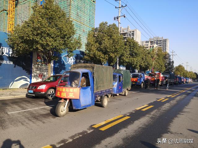 科技助力希腊疫情防控的最新动态与守护健康的力量