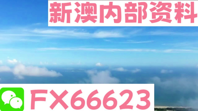 新澳内部资料免费提供,实地验证策略具体_目击版68.953