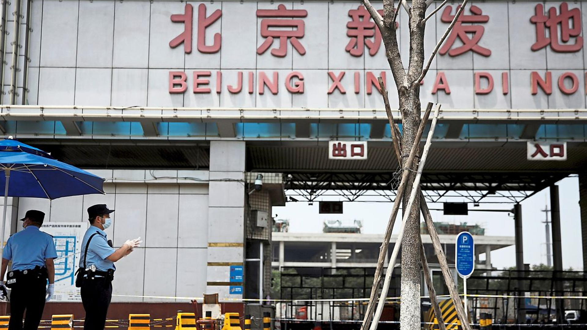 北京疫情最新动态与新发地市场观察，一种观点的分析