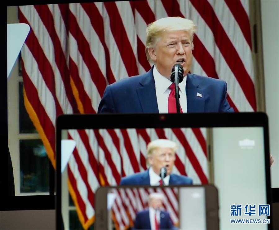 特朗普推特最新动态，爱与陪伴的温馨小故事
