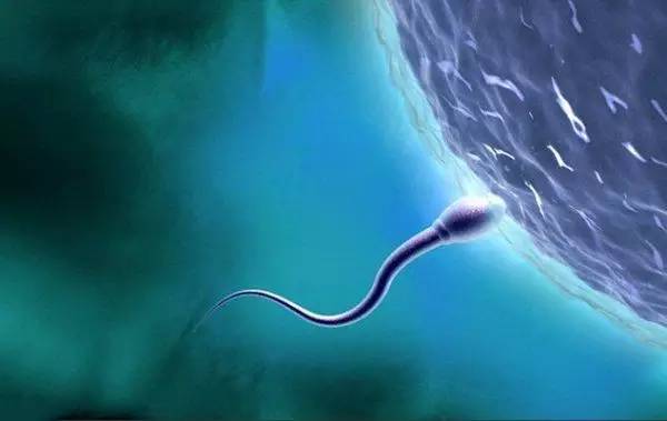 远离非法色情内容,追求健康娱乐生活方式,寻找有益身心的放松方式