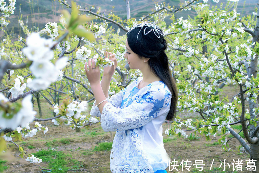 梨花属于什么生肖,高速应对逻辑_计算版21.574