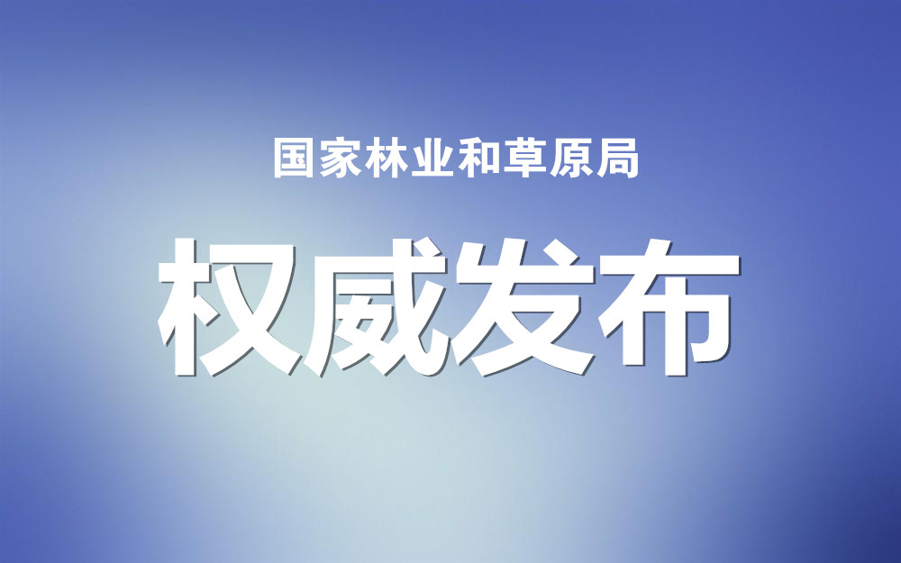 时代背景下的绿色篇章，林业政策最新动态与绿色发展之路