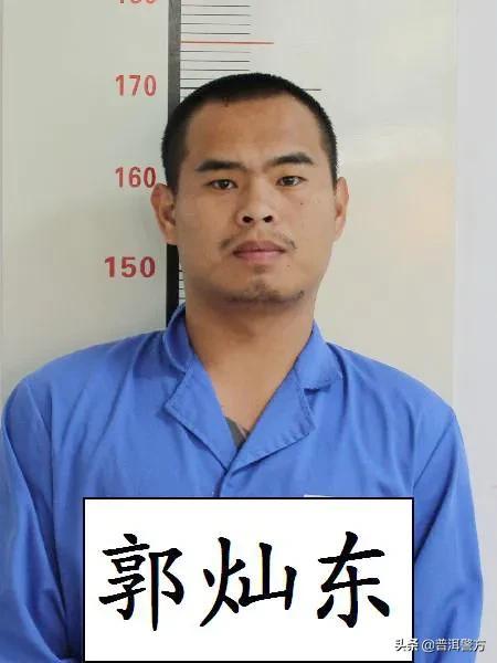 普洱茶新篇章揭晓，普洱最新通告引领行业发展方向