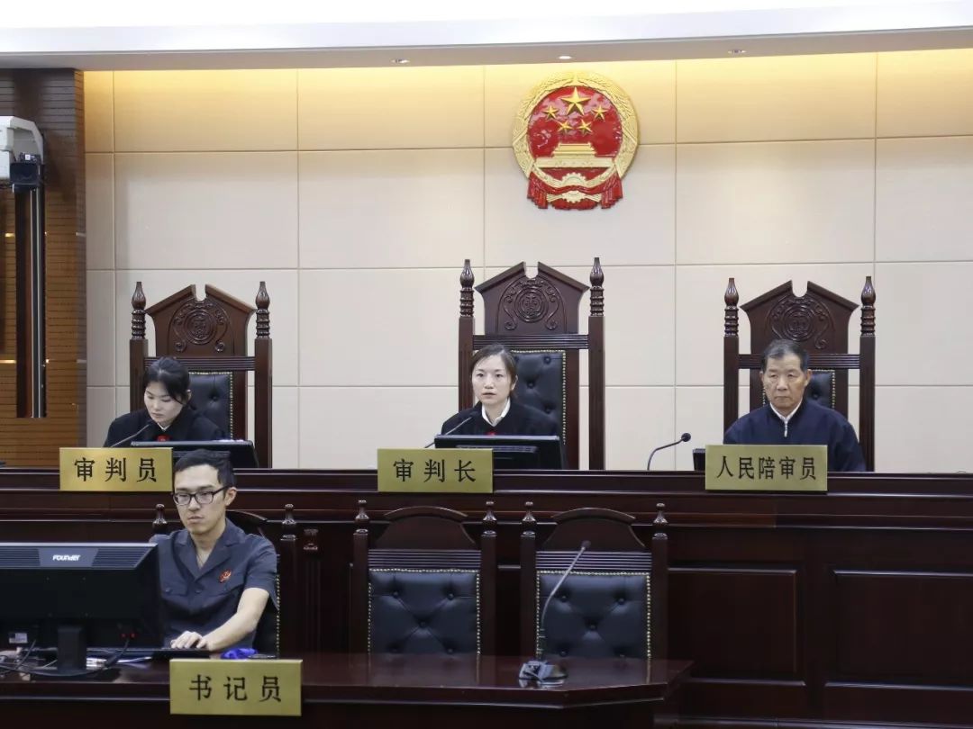 最新逃税宣判详解，步骤指南与案例分析
