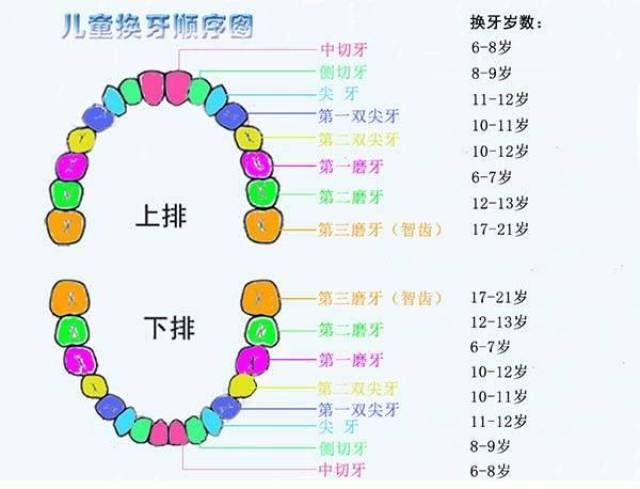 心灵与自然共舞之旅，探寻最新心灵的启程点