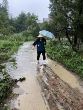 庐江最新汛情实时更新,关注防汛抗洪形势!