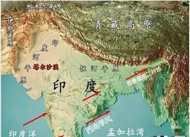 印度沙漠蝗灾，全球面临的挑战与灾难的警示