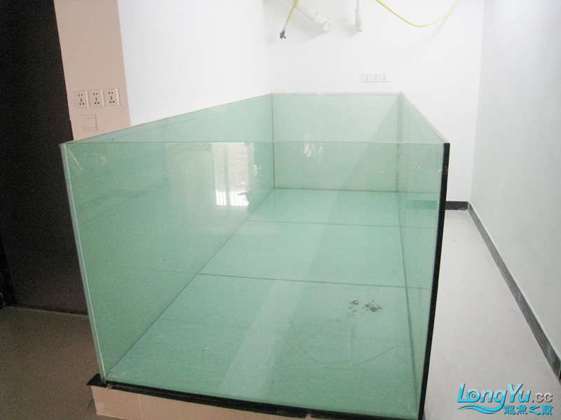 最新鱼缸玻璃的秘密趣事探索