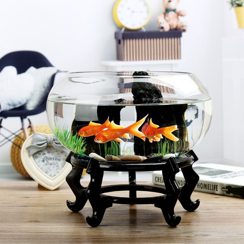 最新鱼缸玻璃的秘密趣事探索