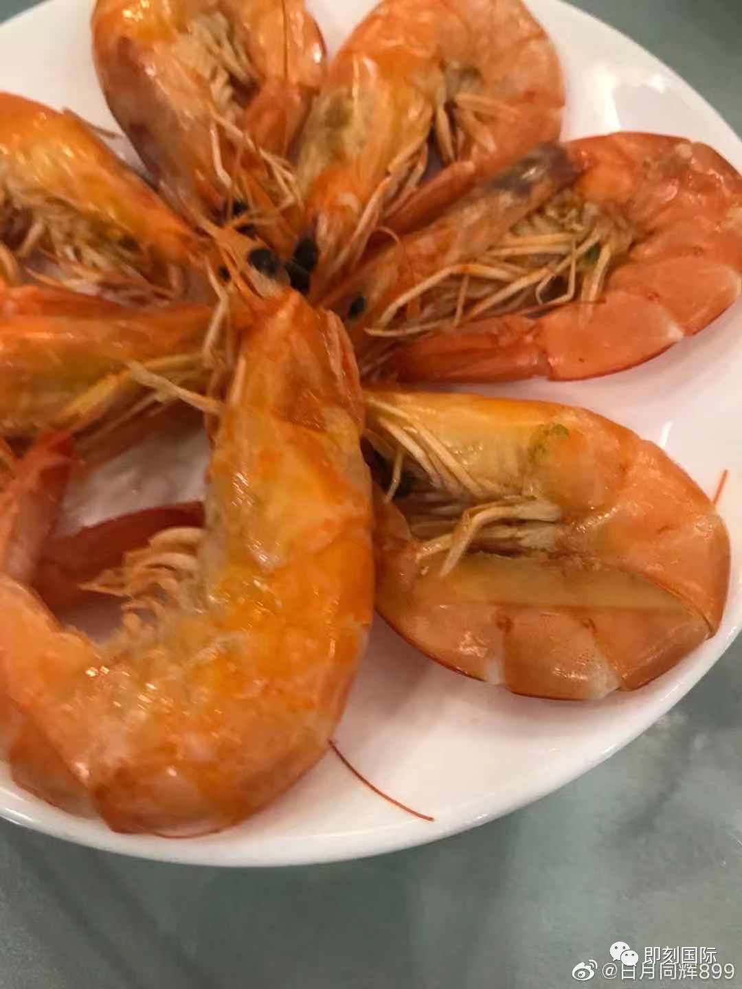 最新虾事件，友情与爱的温馨篇章