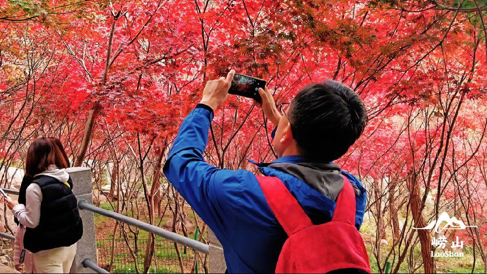 最新九水,自然美景的轻松之旅