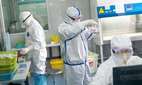 最新隔离要求详解，理解与应用的全面指南