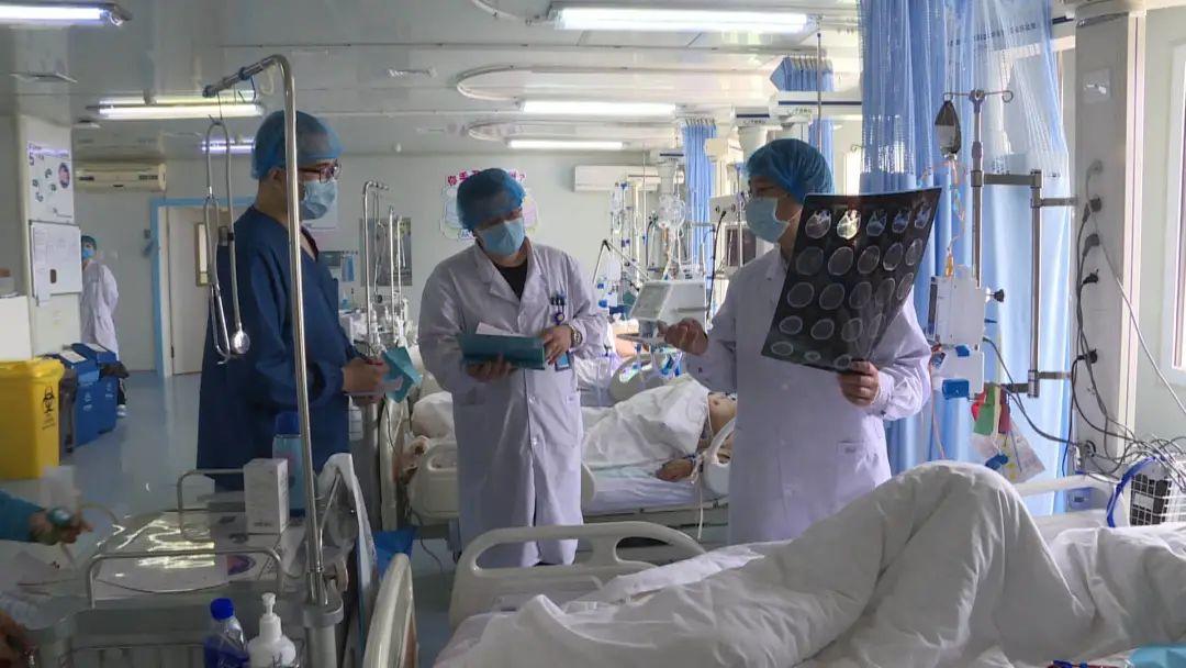 最新疫情伊春回顾与洞察,深度解析疫情动态与影响