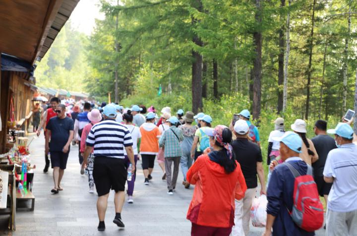 最新疫情伊春回顾与洞察,深度解析疫情动态与影响