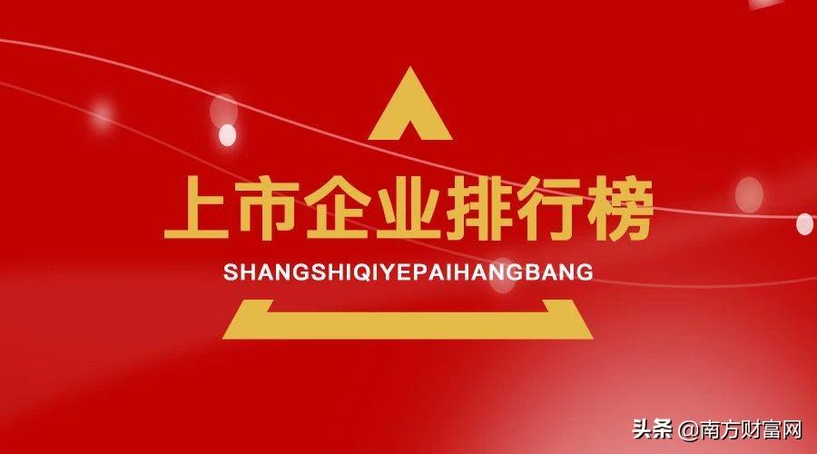 蚂蚁集团最新数据揭秘，小巷中的隐藏巨头与特色小店的独特魅力