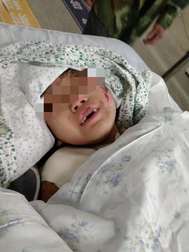 辽宁小城的爱与陪伴，一个普通家庭的温馨故事与深厚友情之旅