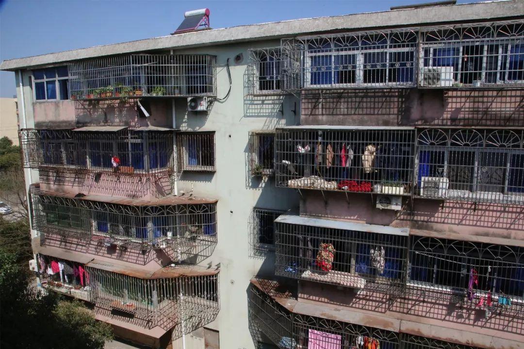 霞浦最新地块，科技前沿重塑未来生活体验