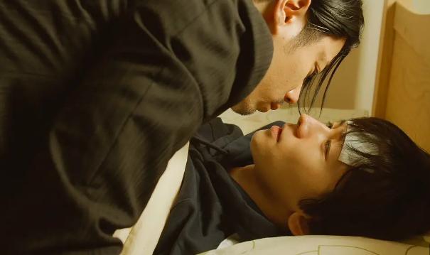 日剧最新腐剧，时代背景下的独特魅力、影响与热议