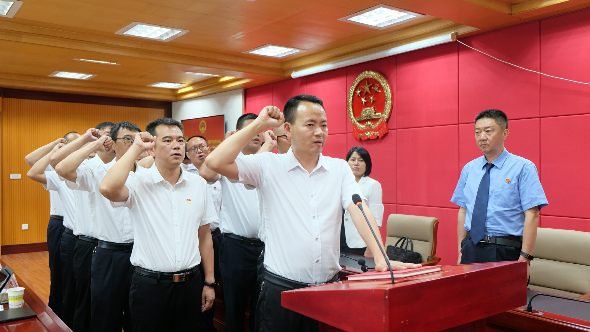 党中央最新讲话解读，深入剖析某某观点
