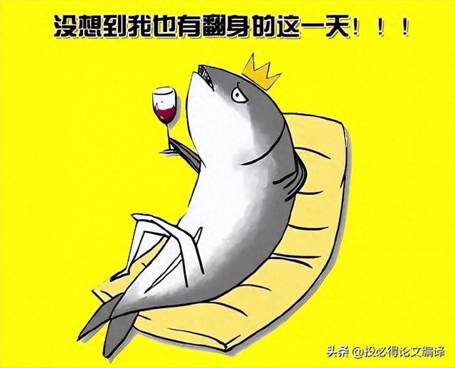 最新版咸鱼，科技引领生活新纪元，未来尽在掌握