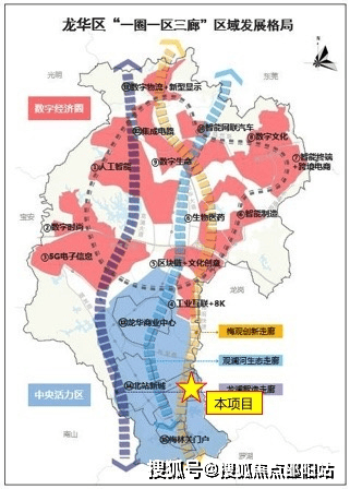 龙华区最新发展动态，脉搏与展望，未来趋势一览