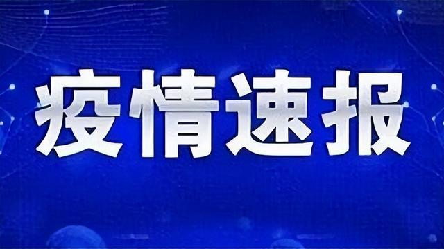 国内最新疫情报道，全面解析防控形势与应对策略