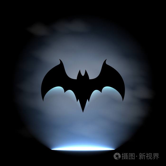 蝙蝠最新版揭秘，生态角色与重要性不可或缺