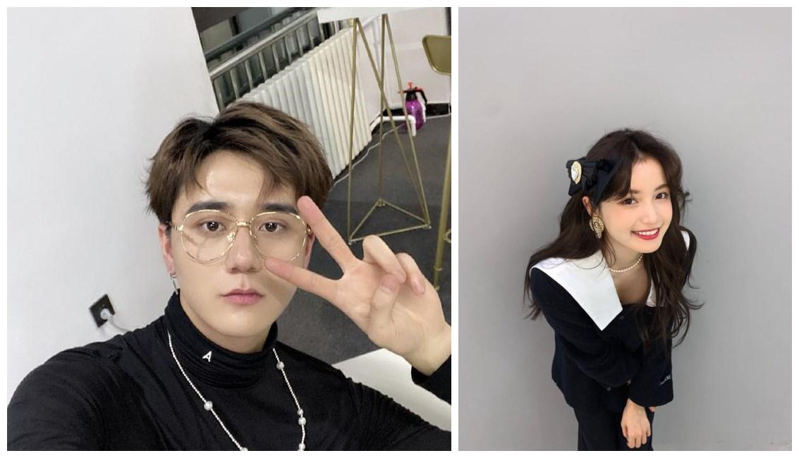 金晨恋情最新动态，公众视角下的多元解读