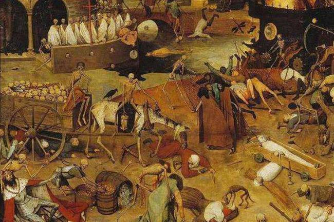 瘟疫最新动态，变化中的学习之路与自信成就的力量