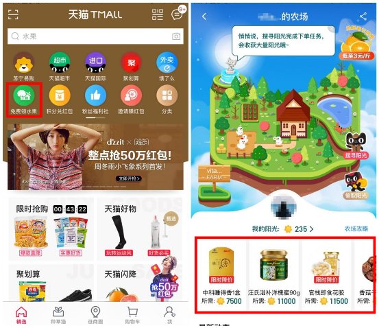 天猫农场最新动态,巷弄绿意中的特色小店魅力