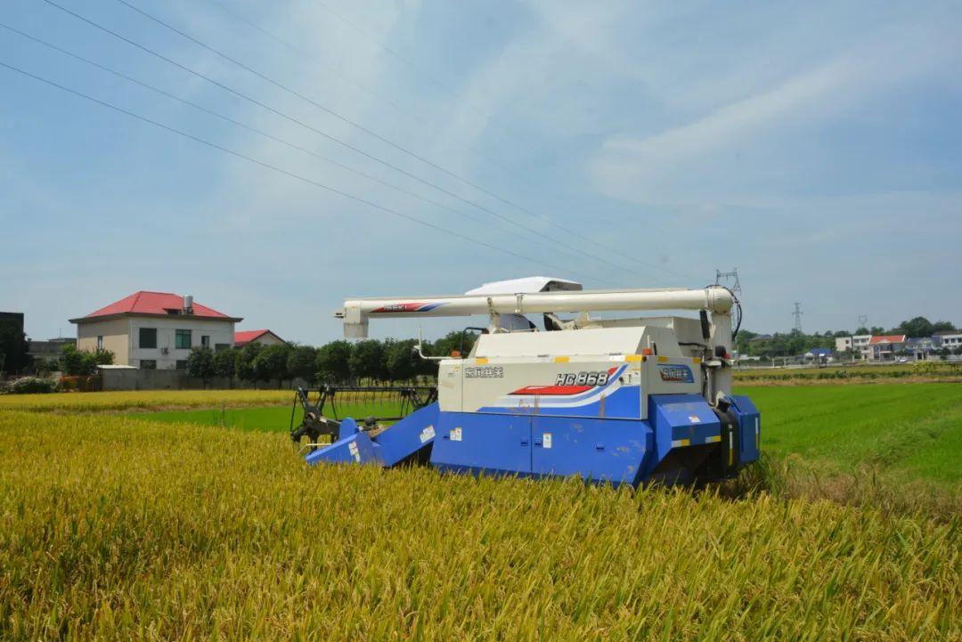 东风井关最新动态，开启自信与成就的新篇章