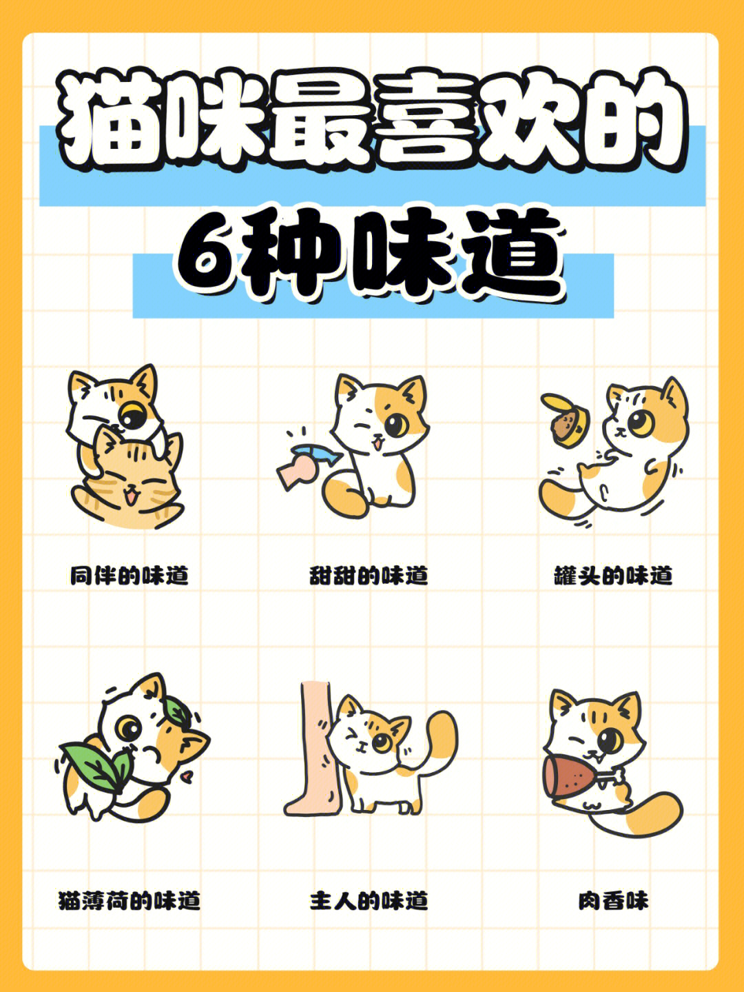猫味最新破解版探索，小巷神秘小店的诱人之旅